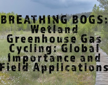 breathing bogs