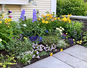 Side flowers