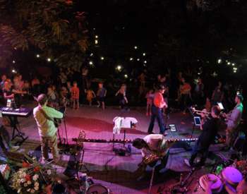 band performs