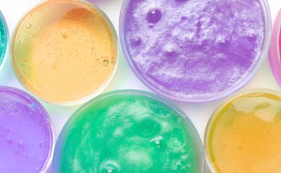 Slime Lab