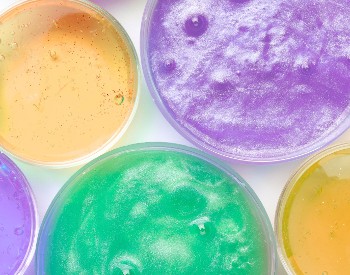 Slime Lab