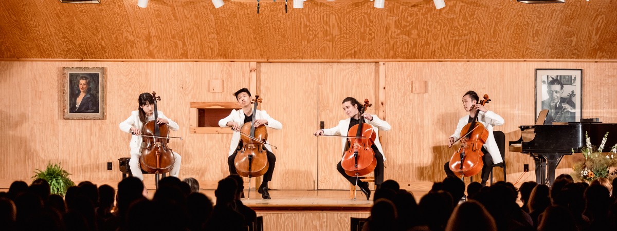 Four cellists perform a concert