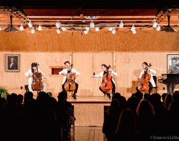 Four cellists perform a concert