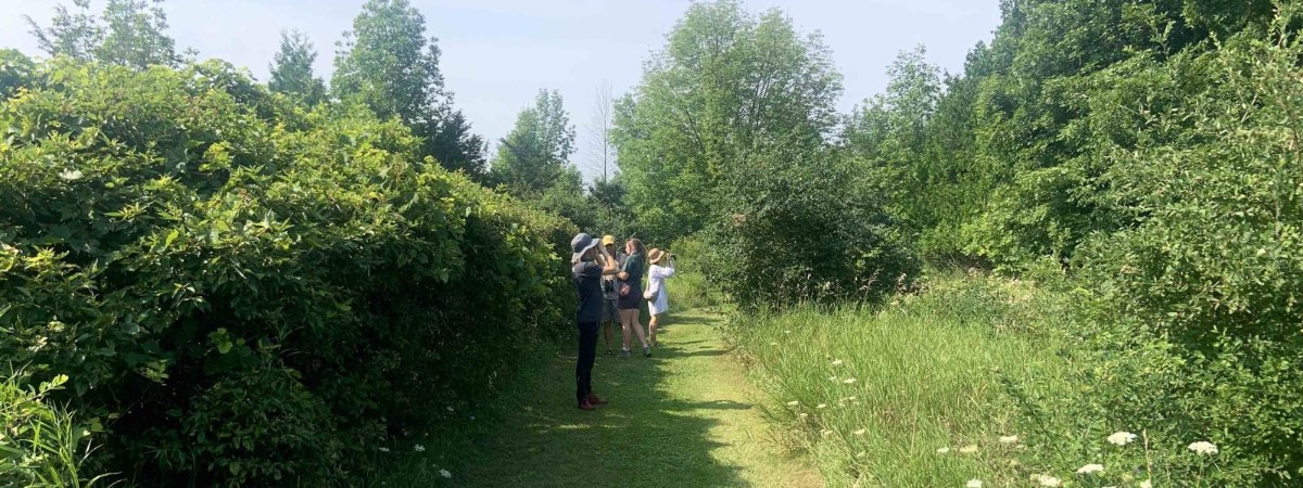 Bird Walk