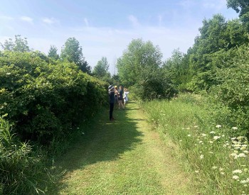 Bird Walk