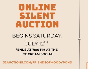 6th Annual Online Auction