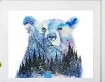 ADK Bear!