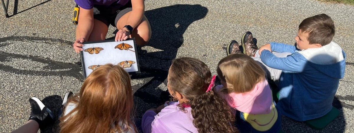 Monarch Butterfly program at Up Yonda Farm