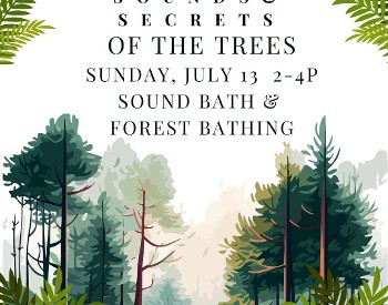 Sounds and Secrets of the Trees Sunday July 13 2 to 4pm
