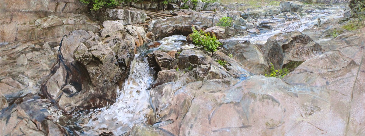 Detail of "Ausable Twist"  35x60 inches