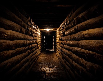dark hallway dimly lit