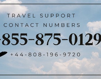 Travel Help Contact
