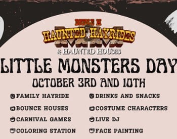 Little Monsters Day promo