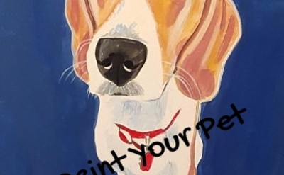 pet