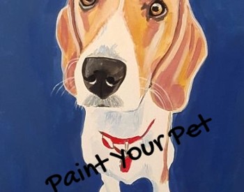 pet