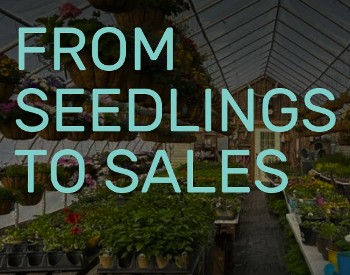 From Seedlings To Sales