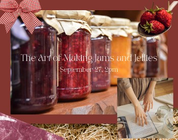 row of jam jars with paper wrapped lids