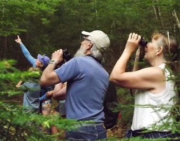 Birding_DS