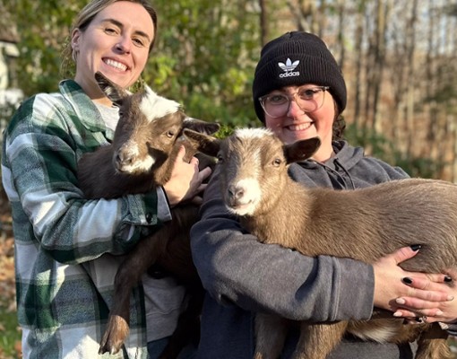 intothewoodsfarmny.com