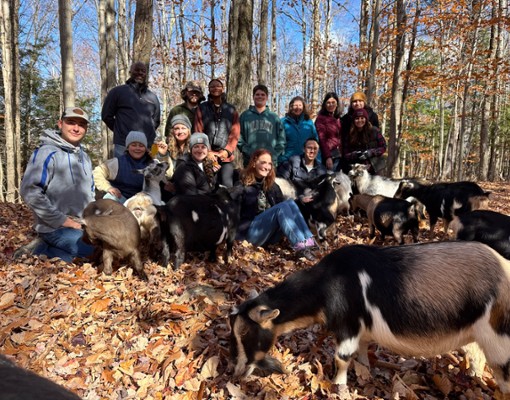 intothewoodsfarmny.com