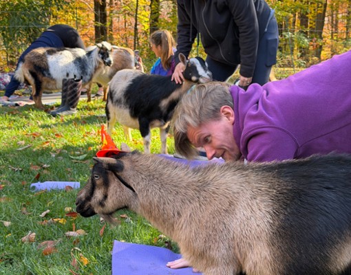 intothewoodsfarmny.com