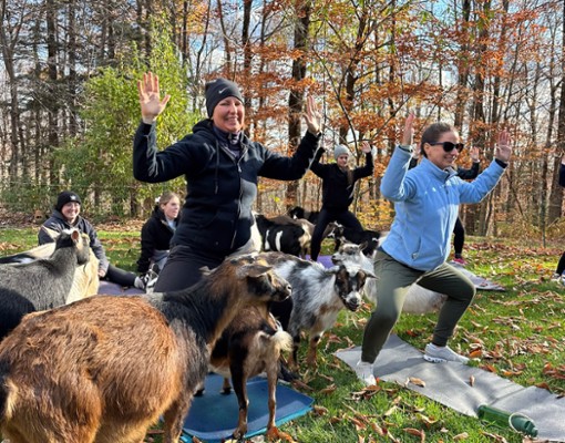 intothewoodsfarmny.com