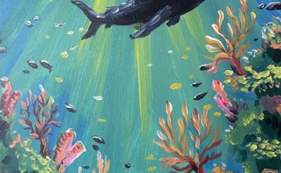 Reef Shark