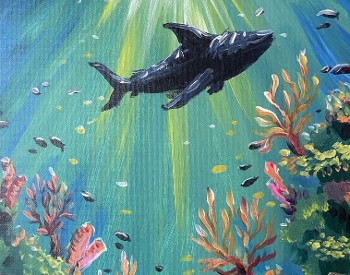 Reef Shark