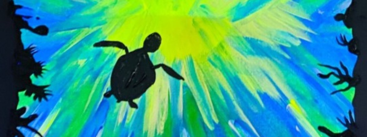 Sea Turtle
