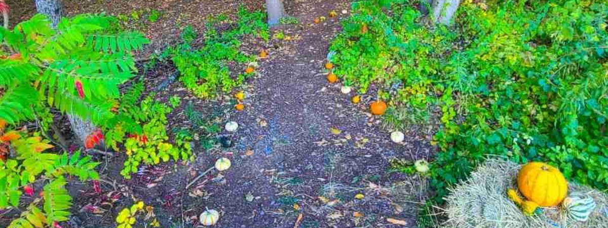 Gourdeous Hike