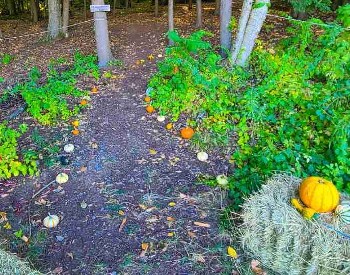 Gourdeous Hike