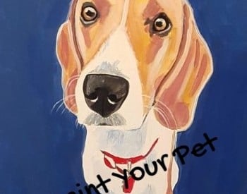 Paint Your Pet