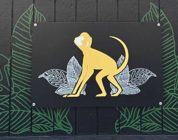 golden monkey