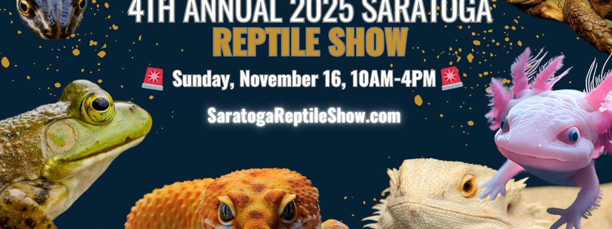 Reptile Show