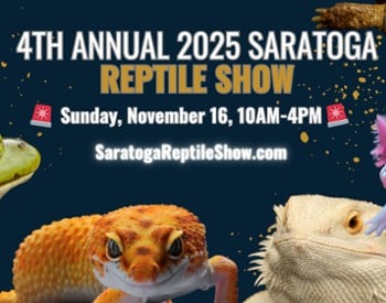 Reptile Show