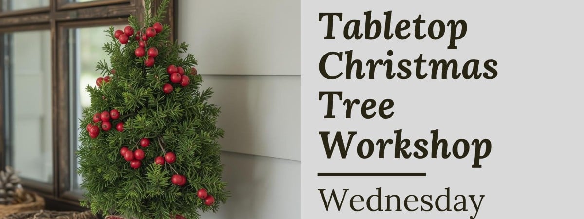 Make a Tabletop Christmas Tree Workshop