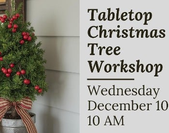 Make a Tabletop Christmas Tree Workshop