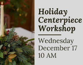 Make Your Own Holiday Centerpiece Workshop