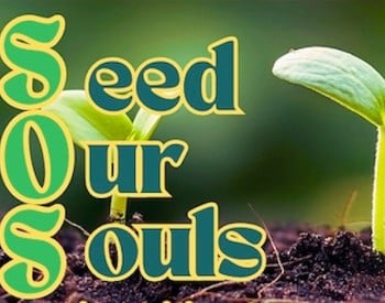 SOS - Sustainability Showcase Logo with tender sprout growing