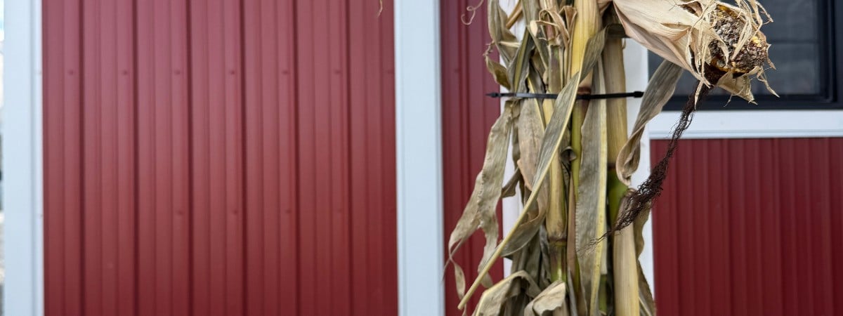 Wicked Flavors Flight!