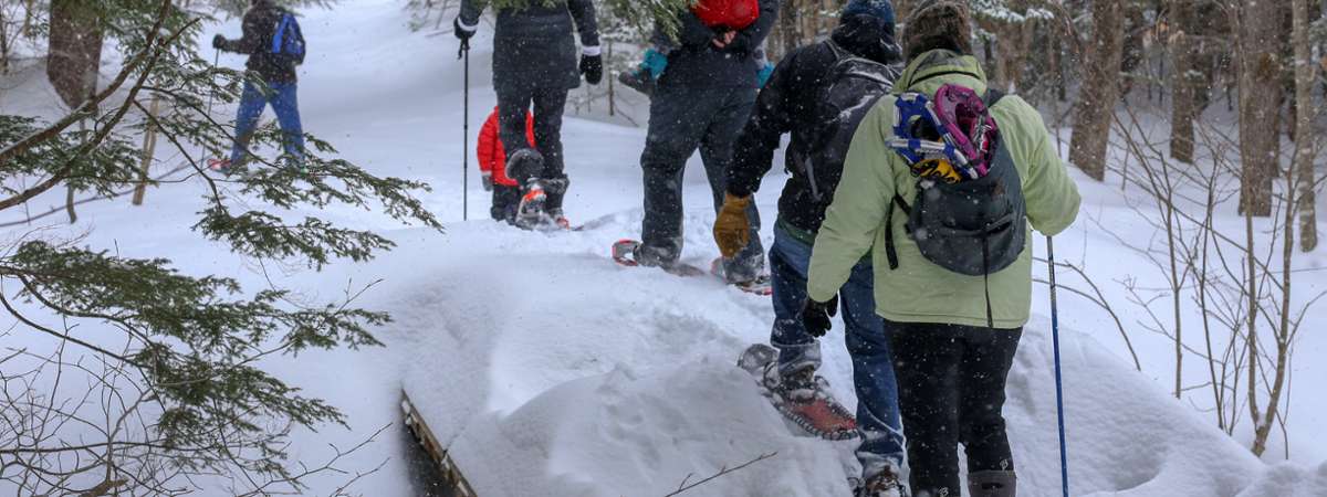 Snowshoe Adventures intothewoodsfarmny.com