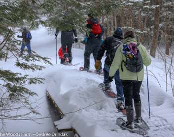 Snowshoe Adventures intothewoodsfarmny.com