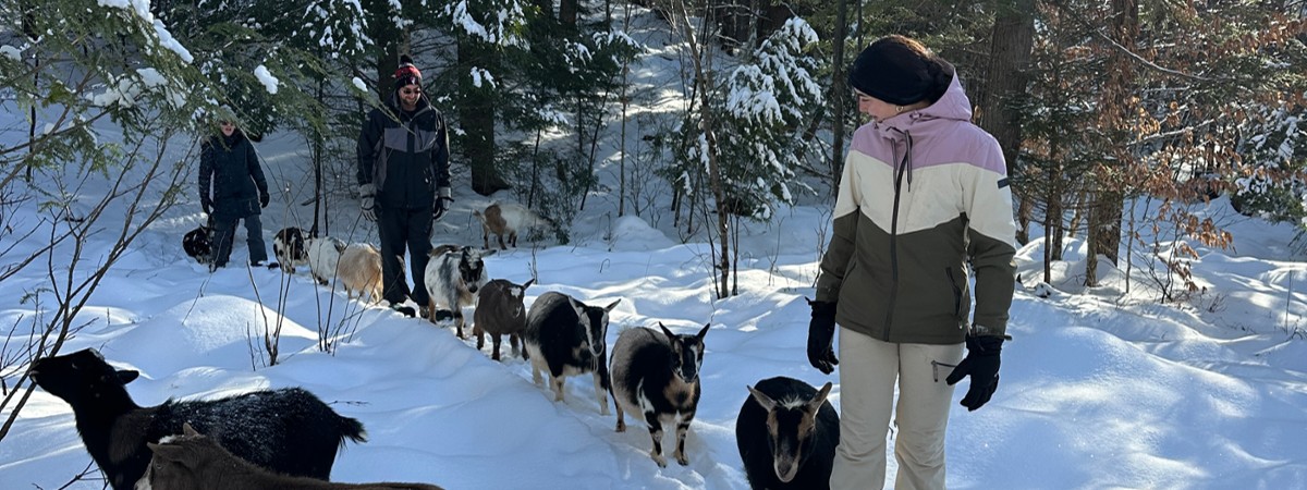 intothewoodsfarmny.com