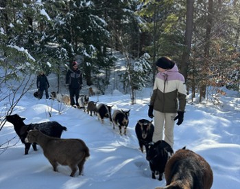 intothewoodsfarmny.com