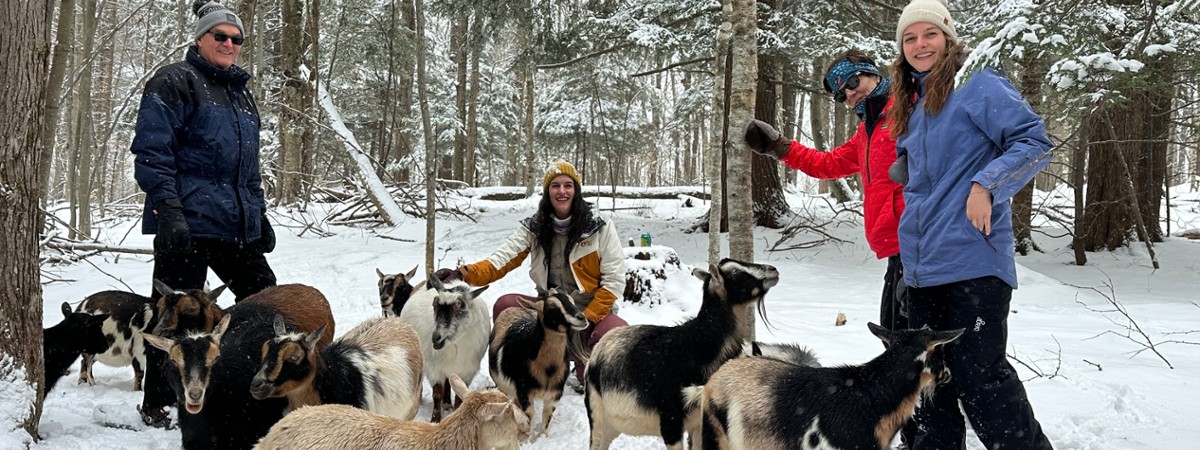 intothewoodsfarmny.com