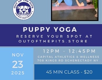 Puppy yoga