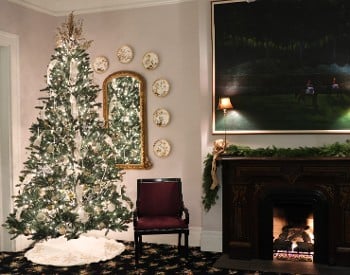 Christmas Tree near Fireplace