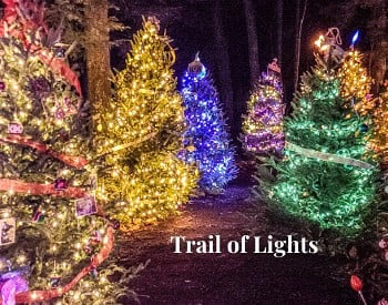 Trail of Lights