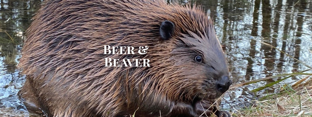 Beer & Beaver