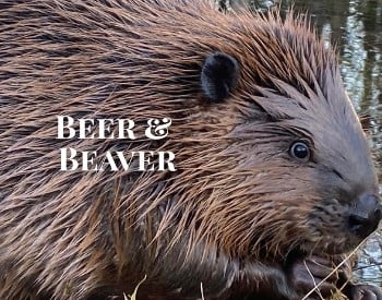 Beer & Beaver